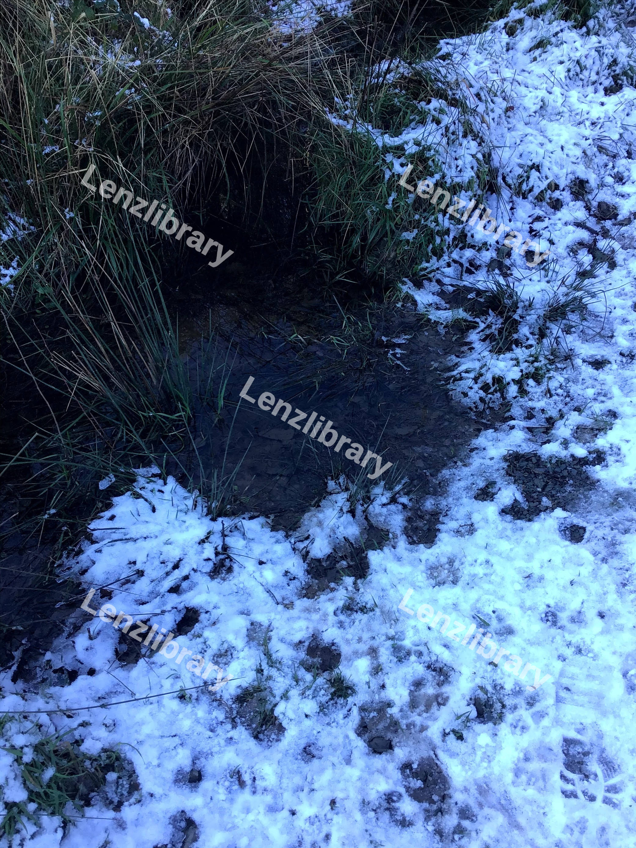 Snowy Pond